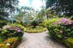 Villa Paradisiaca En Las Terrenas De Alquiler!!!