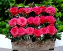 Arreglos Florales, Santo Domingo!