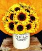Arreglos Florales, Santo Domingo!