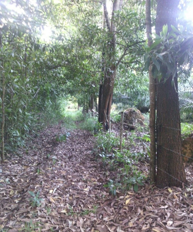 Fincas En Venta, Monte Plata!!
