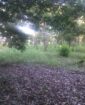 Fincas En Venta, Monte Plata!!