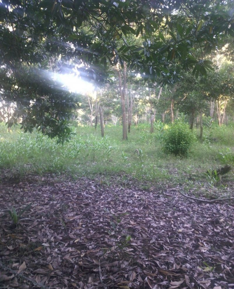 Fincas En Venta, Monte Plata!!