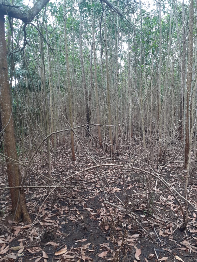Fincas En Venta, Monte Plata!!