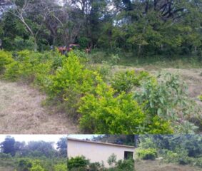 terreno.autopista.6.noviembre.heisel.2_thb-9
