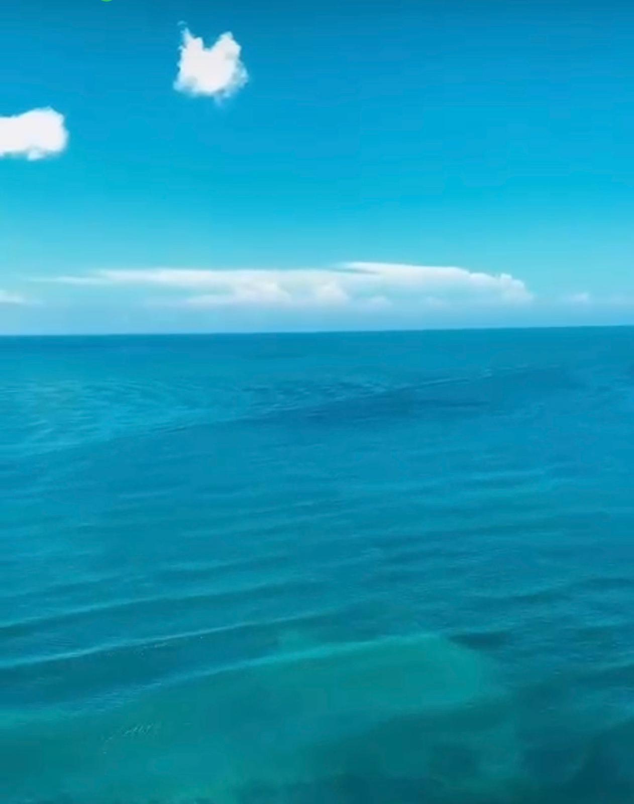 Viva Como Un Rey, Deleitandose Con Su Vista Al Mar, Desde El Piso 26!!!