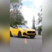 Maserati Amarillito Pollito, Nuevecito Nuevecito …